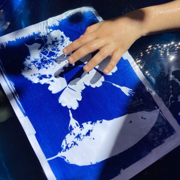 IMG_5403